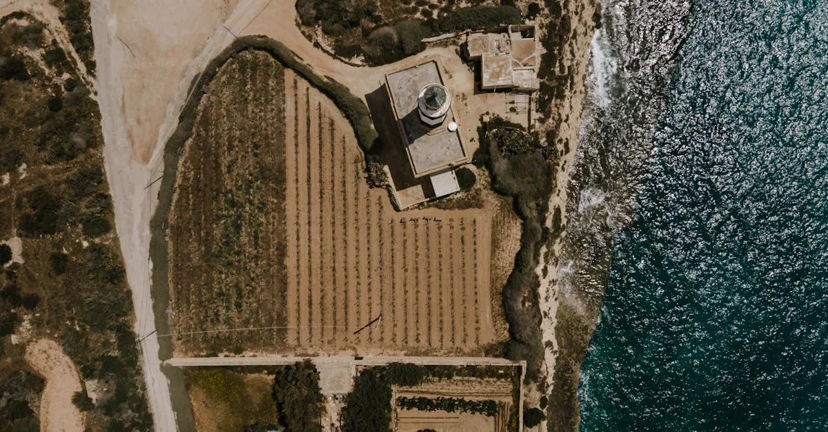 découvrez un road trip inoubliable entre plages, zones humides et charmantes petites villes. explorez la nature, la faune et la culture locale lors de cette aventure unique.