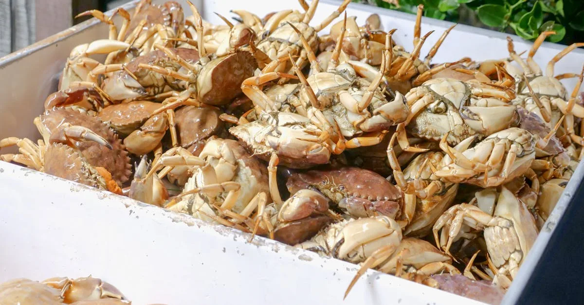 découvrez notre sélection de fruits de mer frais et savoureux pour des repas gourmands et authentiques.