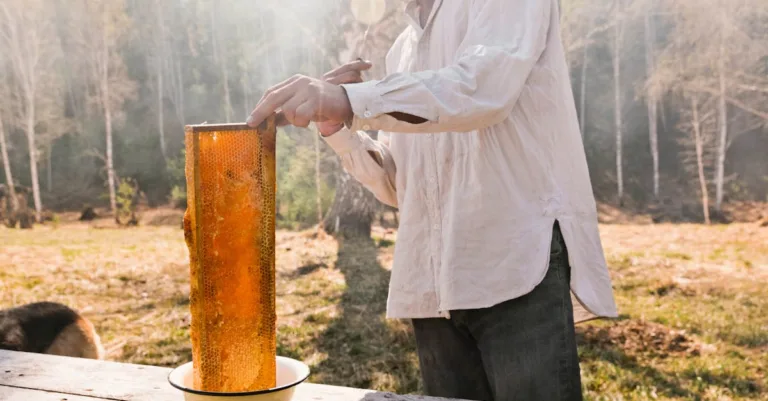 découvrez notre miel cru authentique, naturel et non filtré, riche en saveurs et en bienfaits pour votre santé.