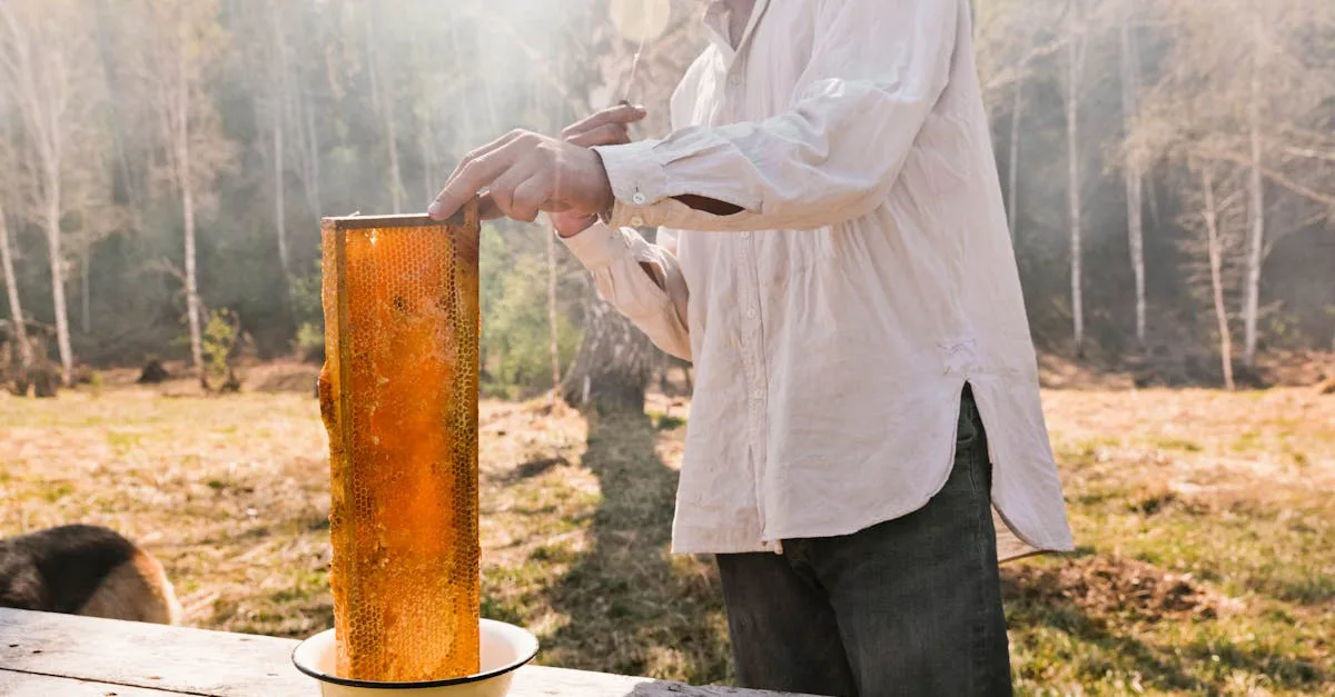 découvrez notre miel cru authentique, naturel et non filtré, riche en saveurs et en bienfaits pour votre santé.