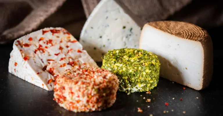 découvrez les saveurs uniques des fromages de saison, parfaits pour accompagner vos repas selon les périodes de l'année.
