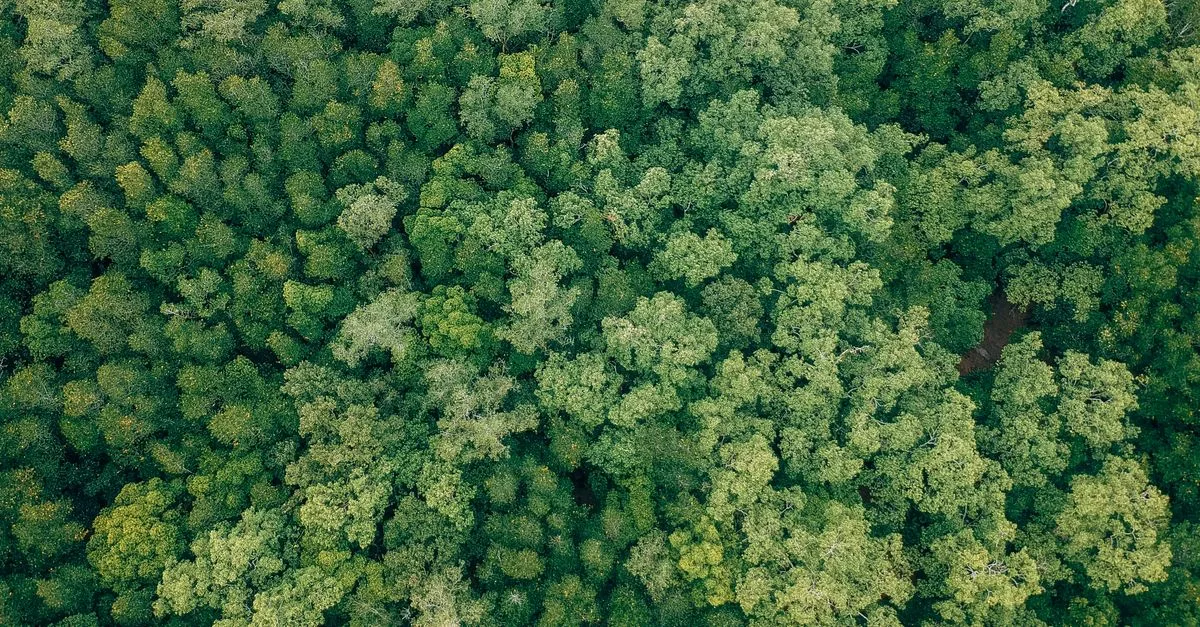 découvrez les réglementations environnementales essentielles pour la protection de la nature et la conformité légale des entreprises.