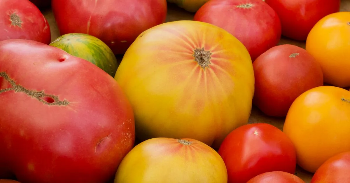 découvrez les légumes anciens, des variétés traditionnelles riches en saveurs et en histoire, pour un potager authentique et durable.