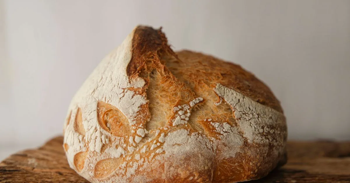 tout savoir sur le pain au levain : recettes, astuces et conseils pour réussir votre sourdough à la maison.