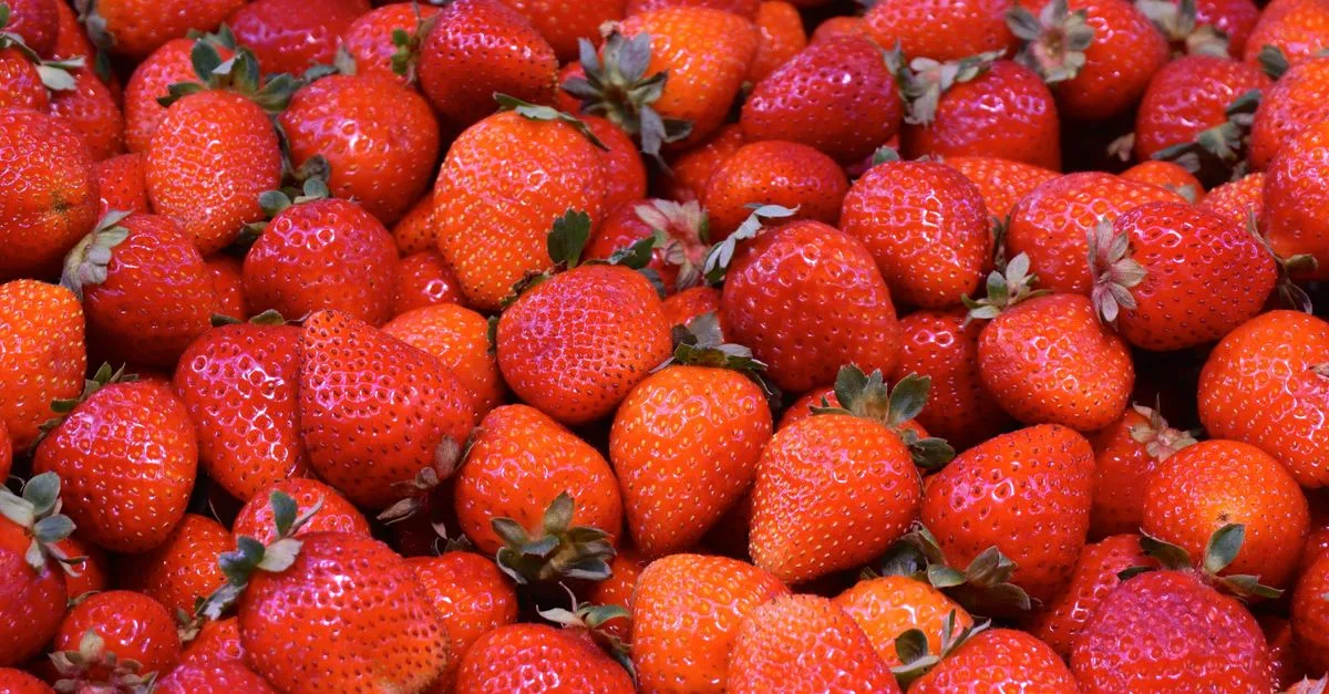découvrez tout sur les fraises : bienfaits, recettes gourmandes et astuces pour les cultiver chez vous.
