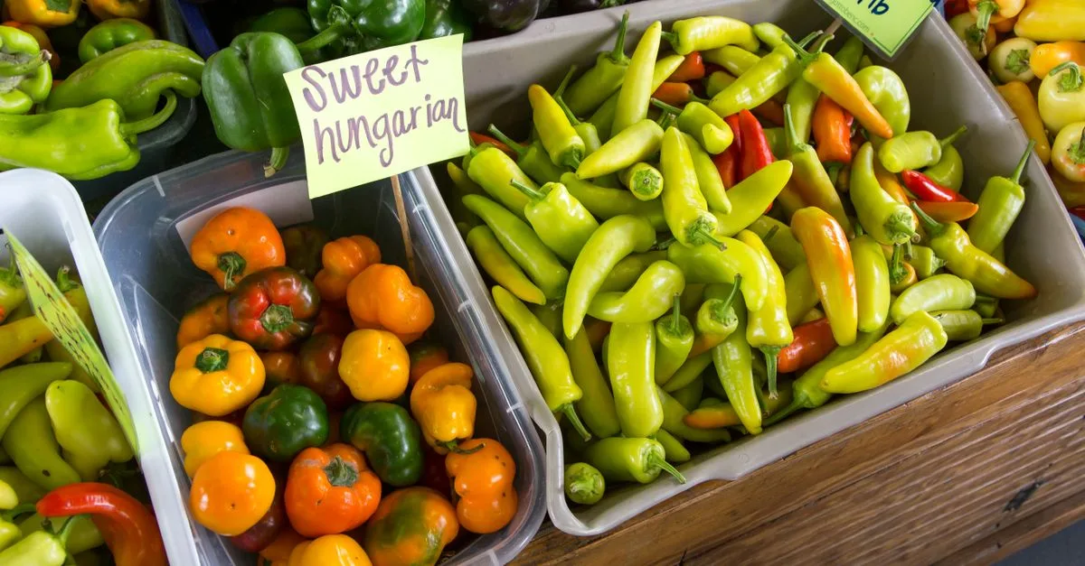 découvrez les marchés fermiers d'été : produits frais, locaux et de saison pour savourer le meilleur de la nature.