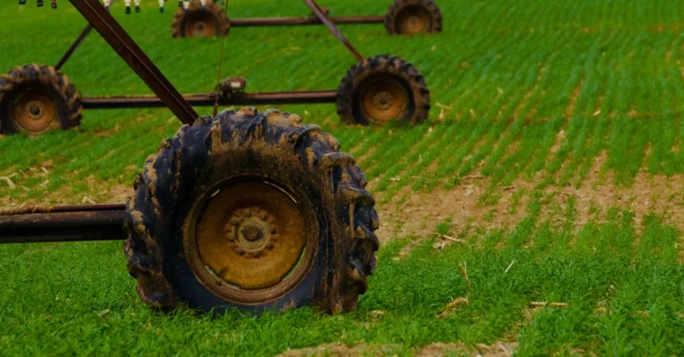 découvrez les pratiques et innovations de l'agriculture durable pour préserver les ressources naturelles tout en produisant de manière responsable et équitable.