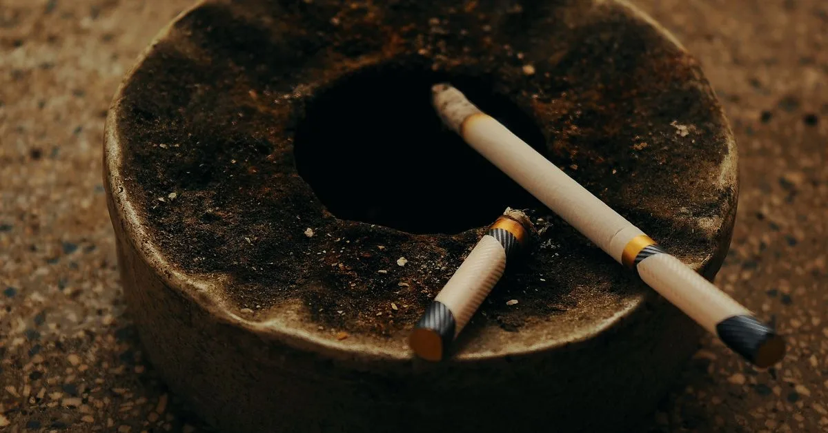 découvrez les règlements d'importation des cigarettes, incluant les restrictions, taxes et exigences légales à connaître pour importer des produits du tabac en toute conformité.